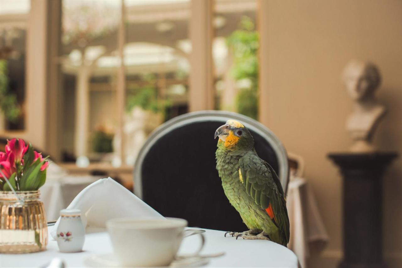 Grand Palace Hotel - Small Luxury Hotels Of The World Riga Exterior photo A parrot at the hotel